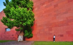 初中毕业如何考上美术学院？