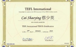 教师资格证说课小学英语