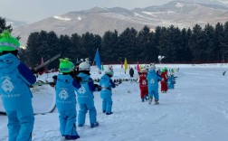 北京中小学生网上冬令营