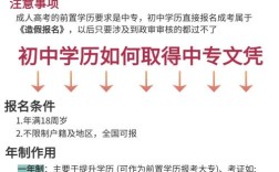 高中没毕业能报专科吗？