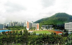 龙岗技术职业学院为何招高中生？