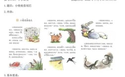 小学语文老师面试试讲视频，如何高效准备？