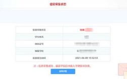 石家庄小学报名结果何时能查？