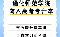 通化师院专升本小学教育如何备考？
