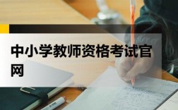 全国中小学教师资格考试网怎么用？