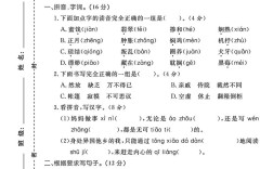 2025小学试卷会考哪些重点？