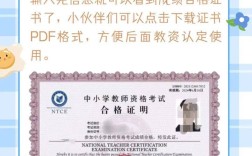 初中教资查询系统怎么用？