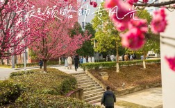 四川哪些中专幼师专业好就业？