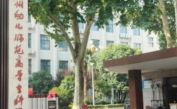 中考报幼师学校，选哪些好？