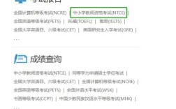 中小学教师资格考试网网址是什么？