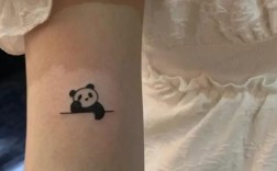 有纹身可以读幼师技校吗