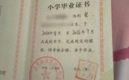 小学没毕业能读成人学校吗？