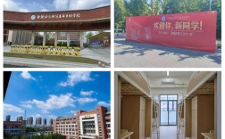 合肥幼师大专学校有哪些？