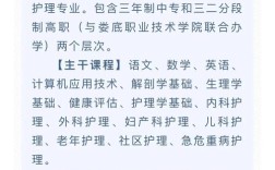 护士初中学校有哪些专业？