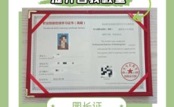 中国教育网幼师NTCE是什么？