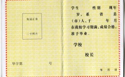 无毕业证能当幼师吗？门槛如何突破？