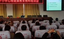 中小学心理健康教师培训