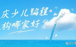 重庆小学编程课已普及？