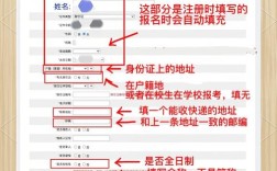 中小学教师资格报名系统怎么用？