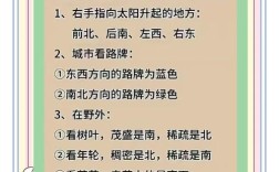 初中女生适合哪些简单发展方向？