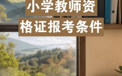 大专学历可以考小学教师资格证吗