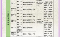 卫校初中有哪些专业可选？