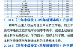 初中报大专报名时间是什么时候？
