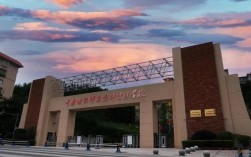 重庆市幼师公招考哪几科？