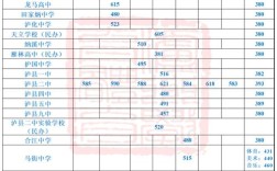 泸州高中艺体生2025有何新规划或目标？