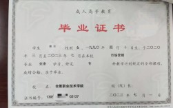 初中毕业能直接上大专网络教育吗？