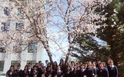 朝阳财经幼师招生办怎么联系？