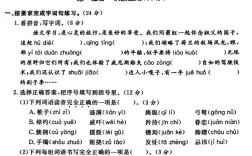 2025小学综合素质题考什么？