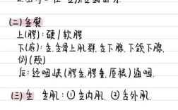 安徽初中起点的口腔医学