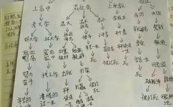 初中学毕业，未来有哪些选择？