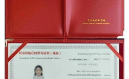 天津幼师资格证报名条件及流程是什么？