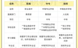 中职学历属于初中还是高中？