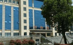 阜阳学幼师的学校有哪些？