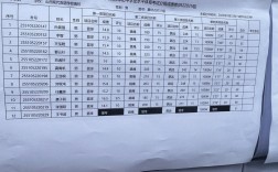 2025小学毕业成绩单，单科成绩如何？