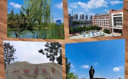 合肥幼师中专学校有哪些？