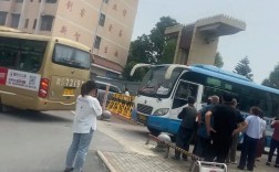 2025庙坝高中高考成绩如何？