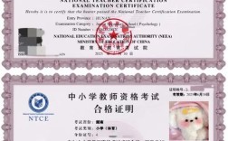 初中教资能考小学编码吗？