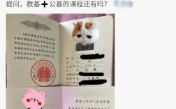 江门幼师资格证查询编号是什么？