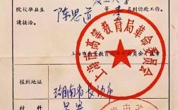 中专毕业证和高中毕业证