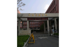 东丽区 最好的小学排名