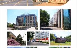 金华技师学院属于高中还是职业教育？