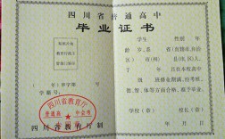 高中毕业能考哪些实用证书？