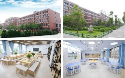 合肥幼师学校有哪些？