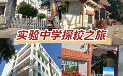 宁乡实验高中教学质量