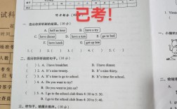 2025汕尾市小学统考