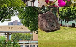 巍山高中有几所？